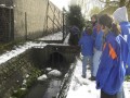 Afbeelding 086